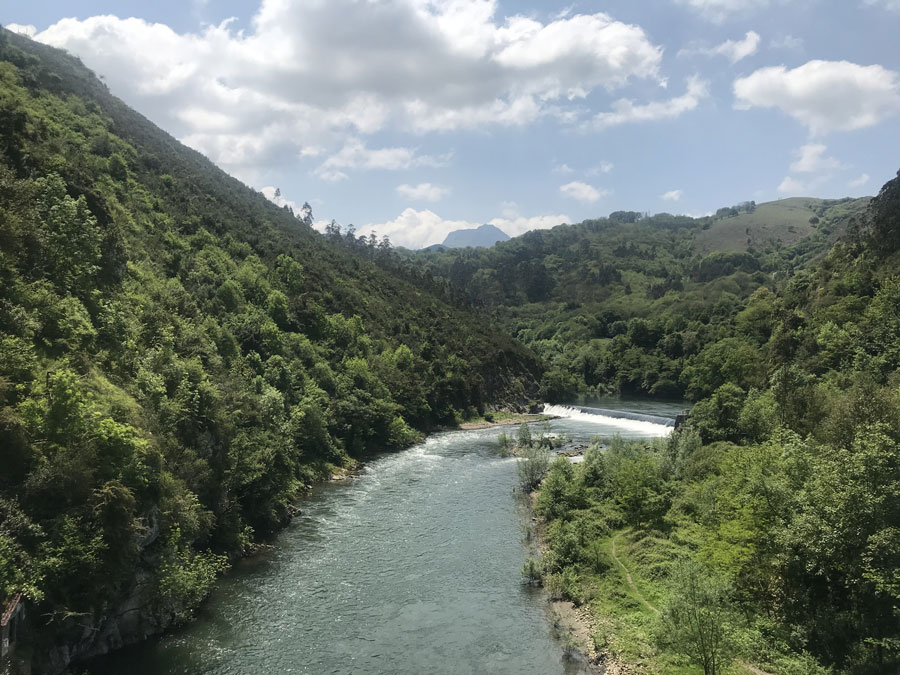entorno natural las caldas villa termal asturias río naturaleza